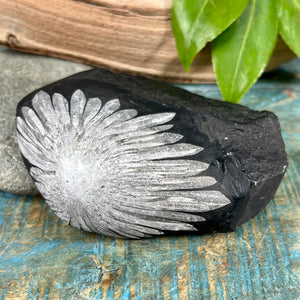 Chrysanthemum Stone freeform