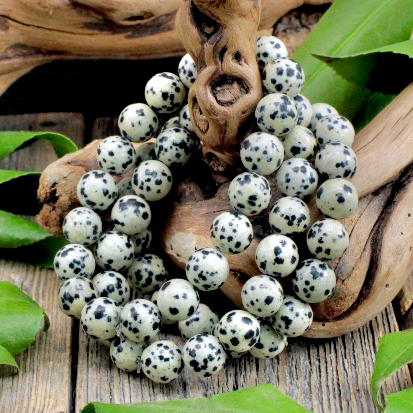 Dalmatian Jasper Bracelet - 10mm