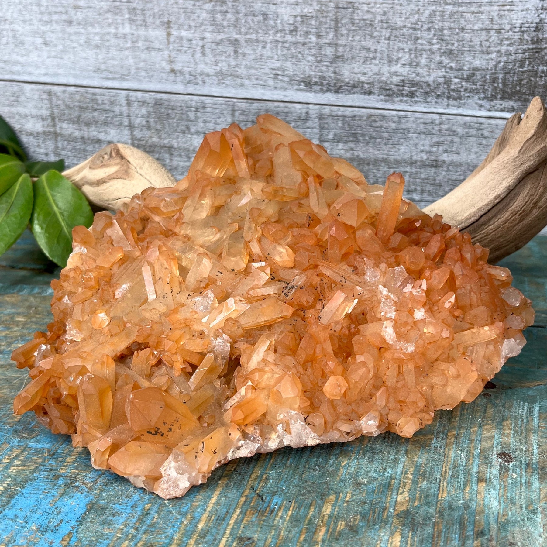 Tangerine Quartz crystal cluster