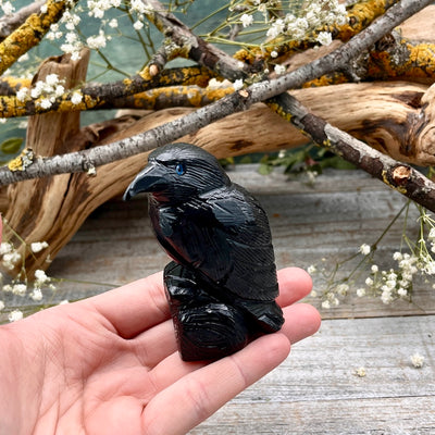 Onyx Raven