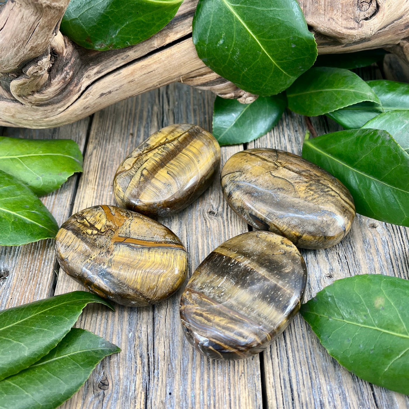 Tiger's Eye Palm Stone