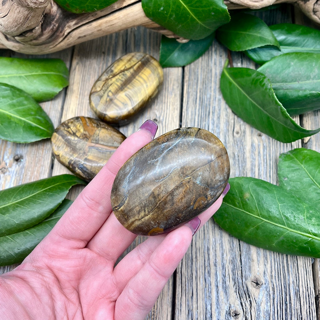 Tiger's Eye Palm Stone