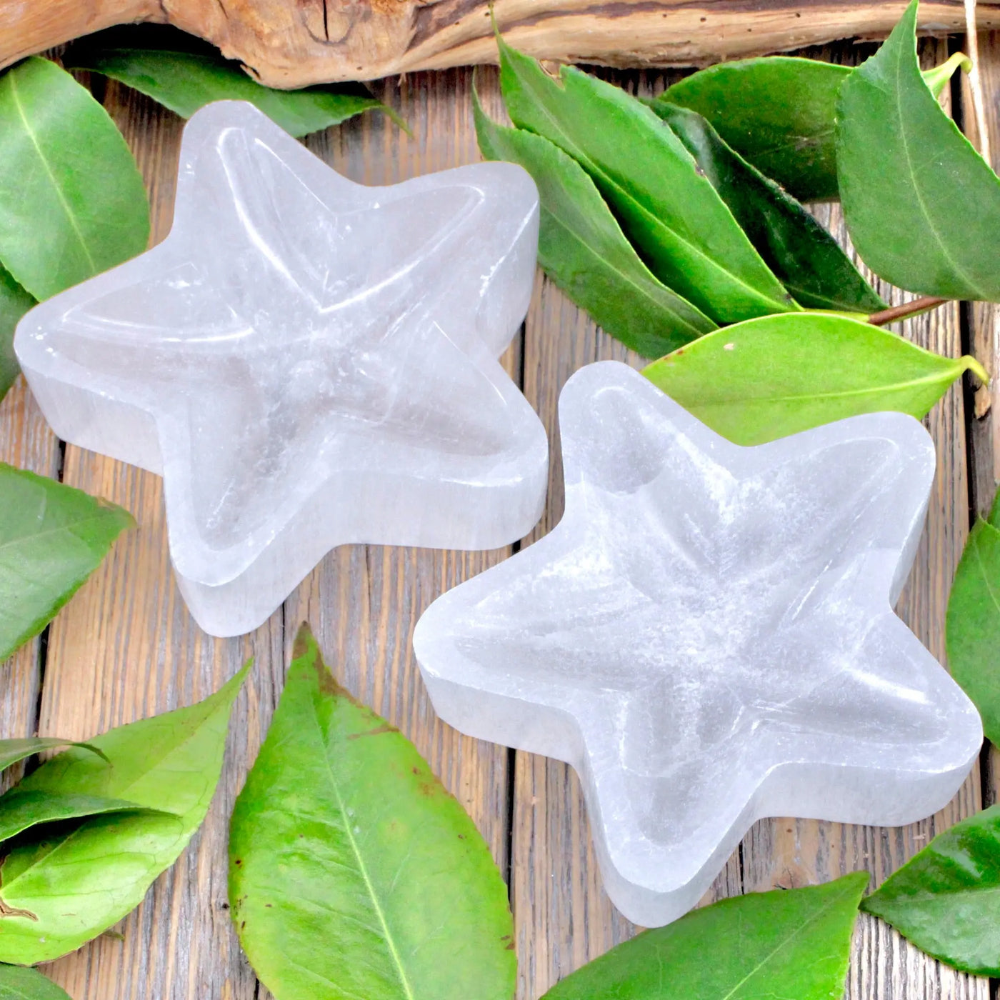 Selenite Star Bowl