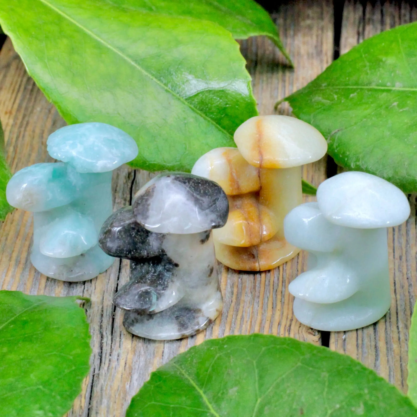 Amazonite Mushroom Cluster