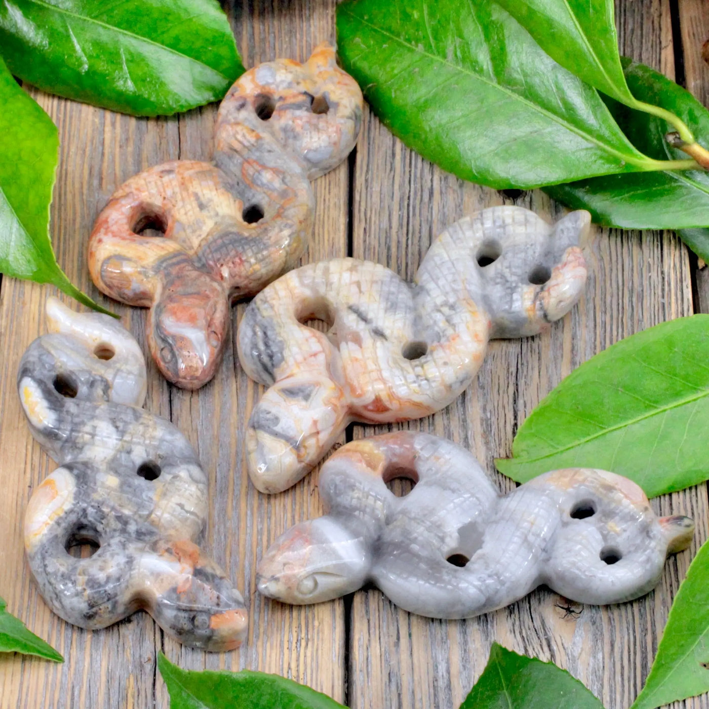 Crazy Lace Agate Snake