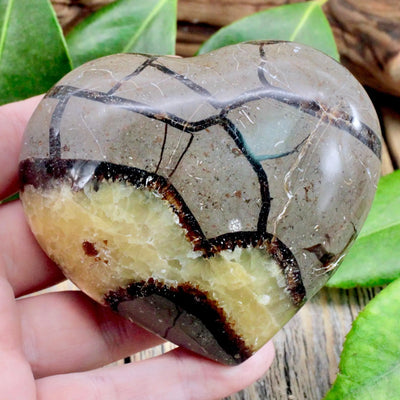 Septarian Heart