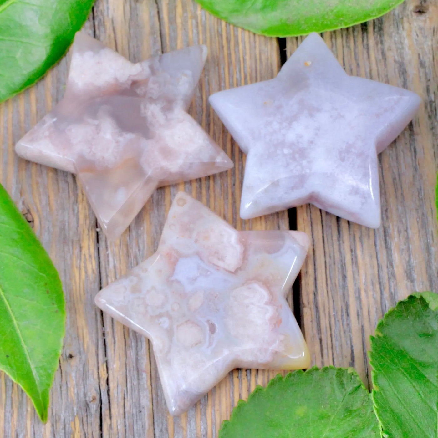 Flower Agate Star