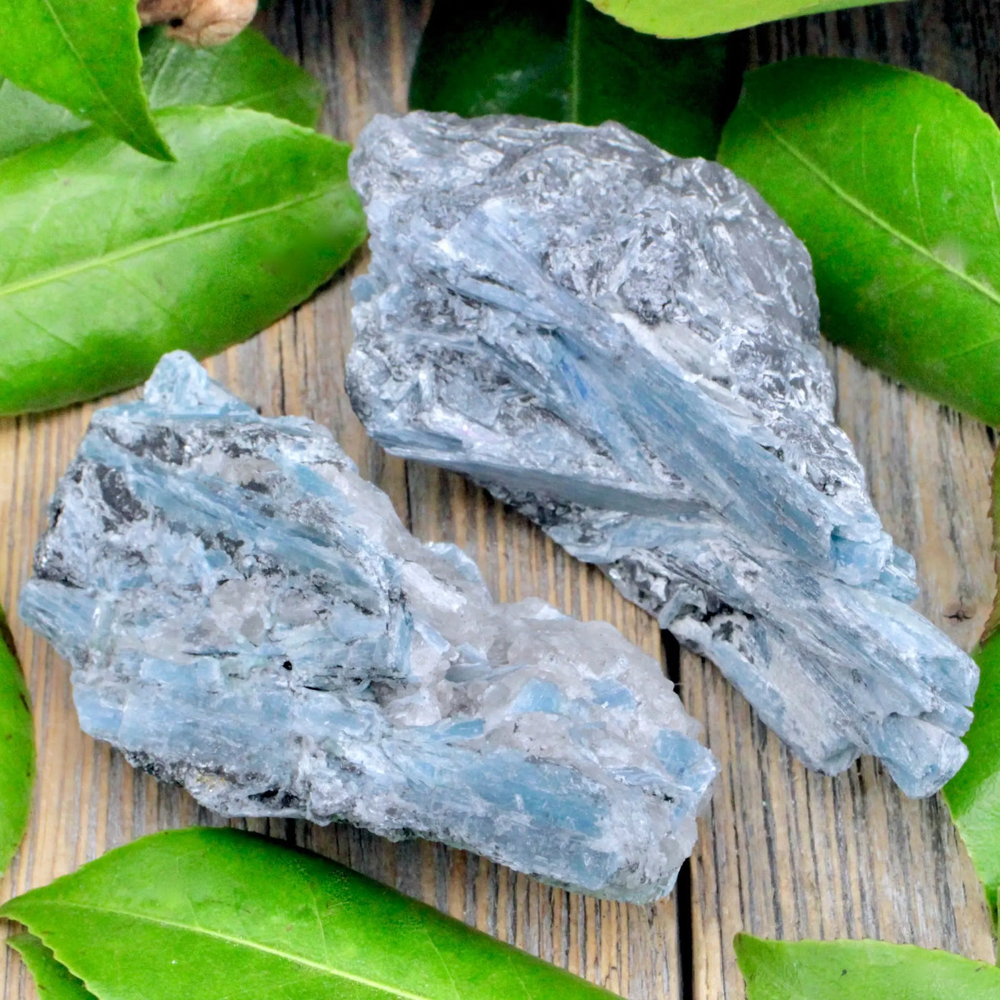 Rough Blue Kyanite Chunk