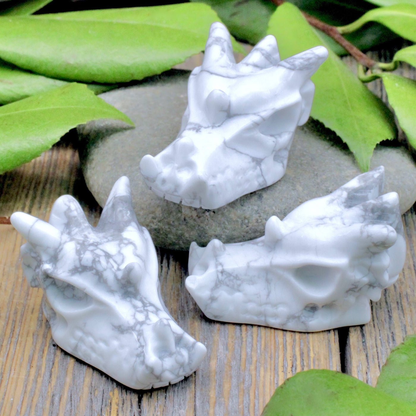 Howlite Dragon Skull