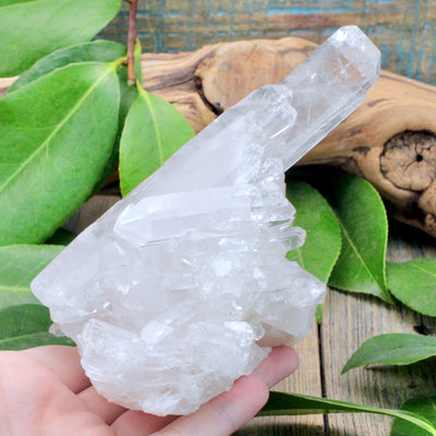 Quartz Crystal Cluster