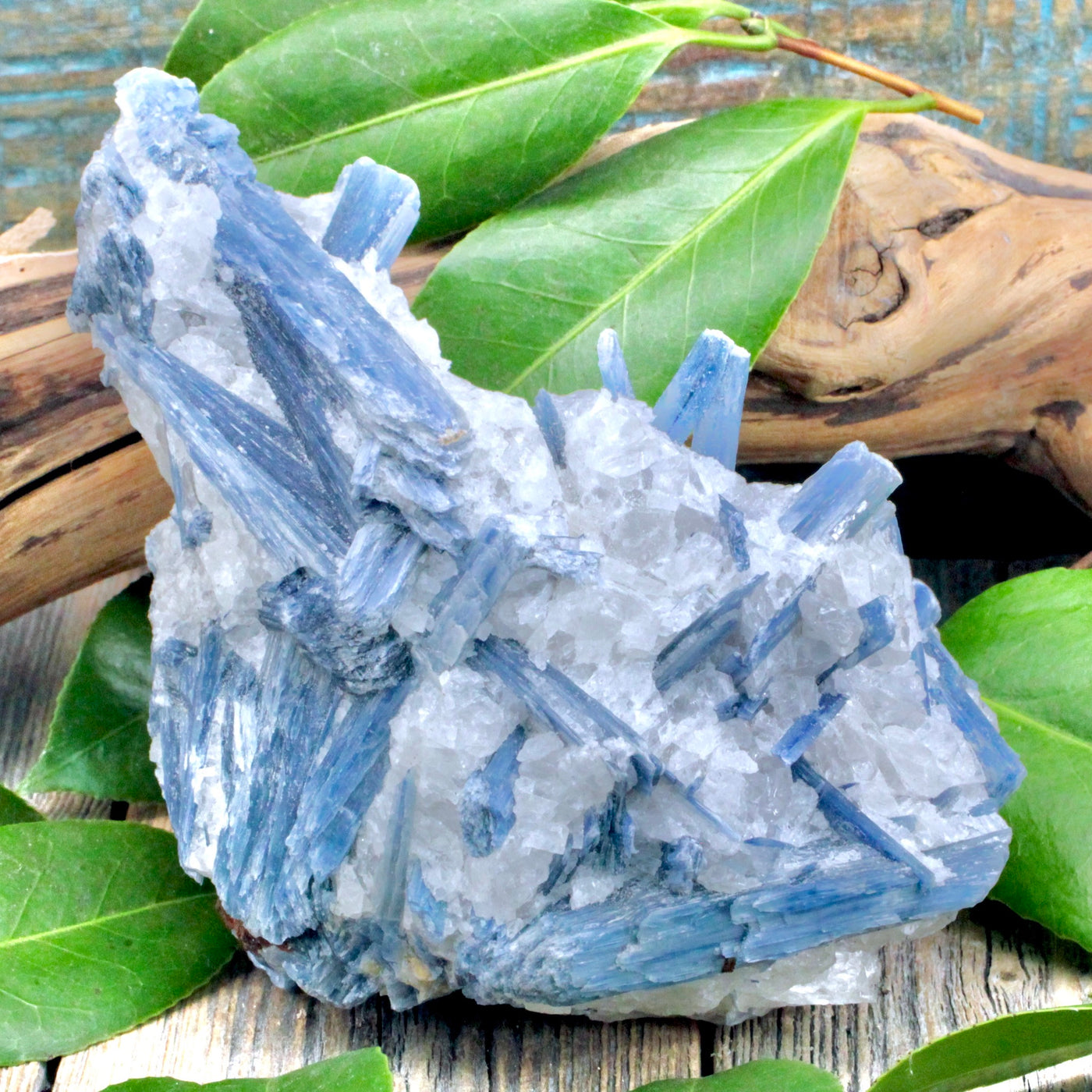 Blue Kyanite Rough Chunk