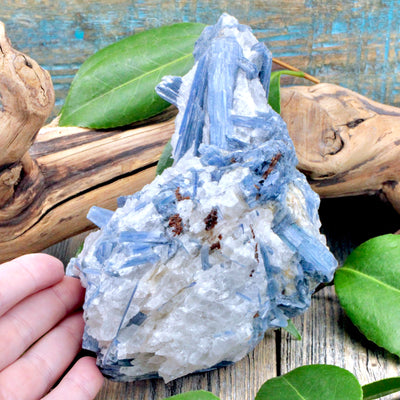 Blue Kyanite Rough Chunk