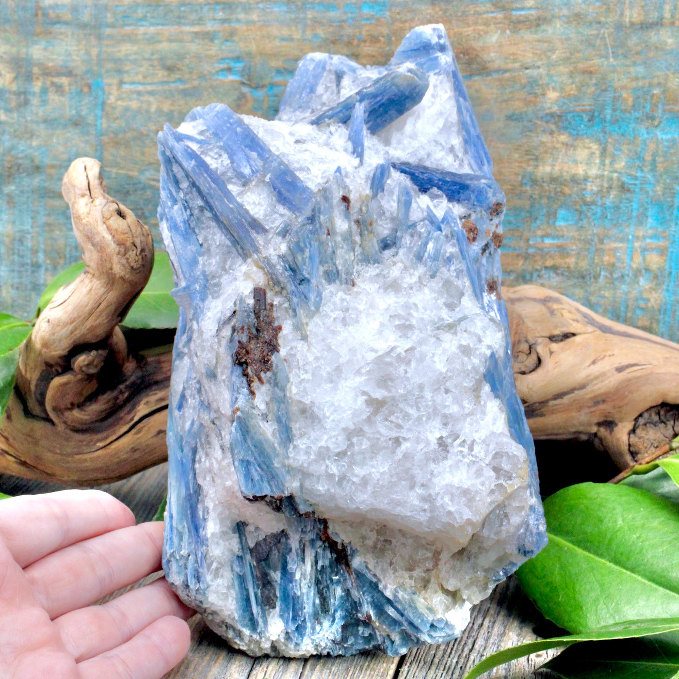 Blue Kyanite Rough Chunk