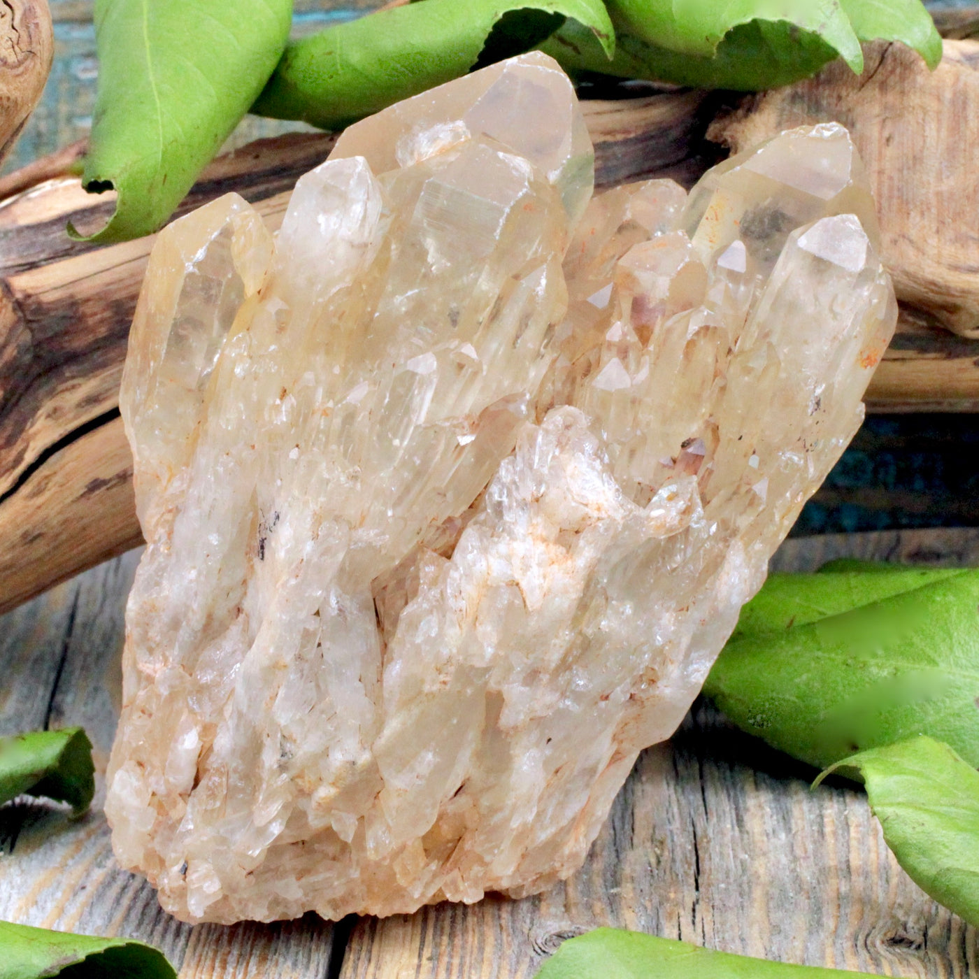 Congo Kundalini Citrine Cluster