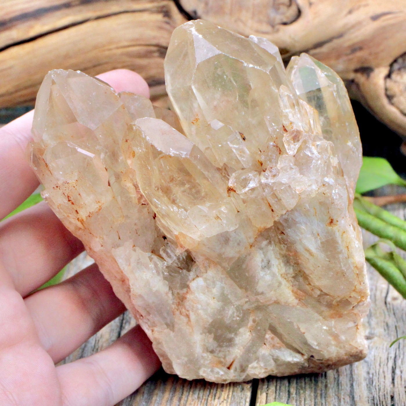 Congo Kundalini Citrine Cluster