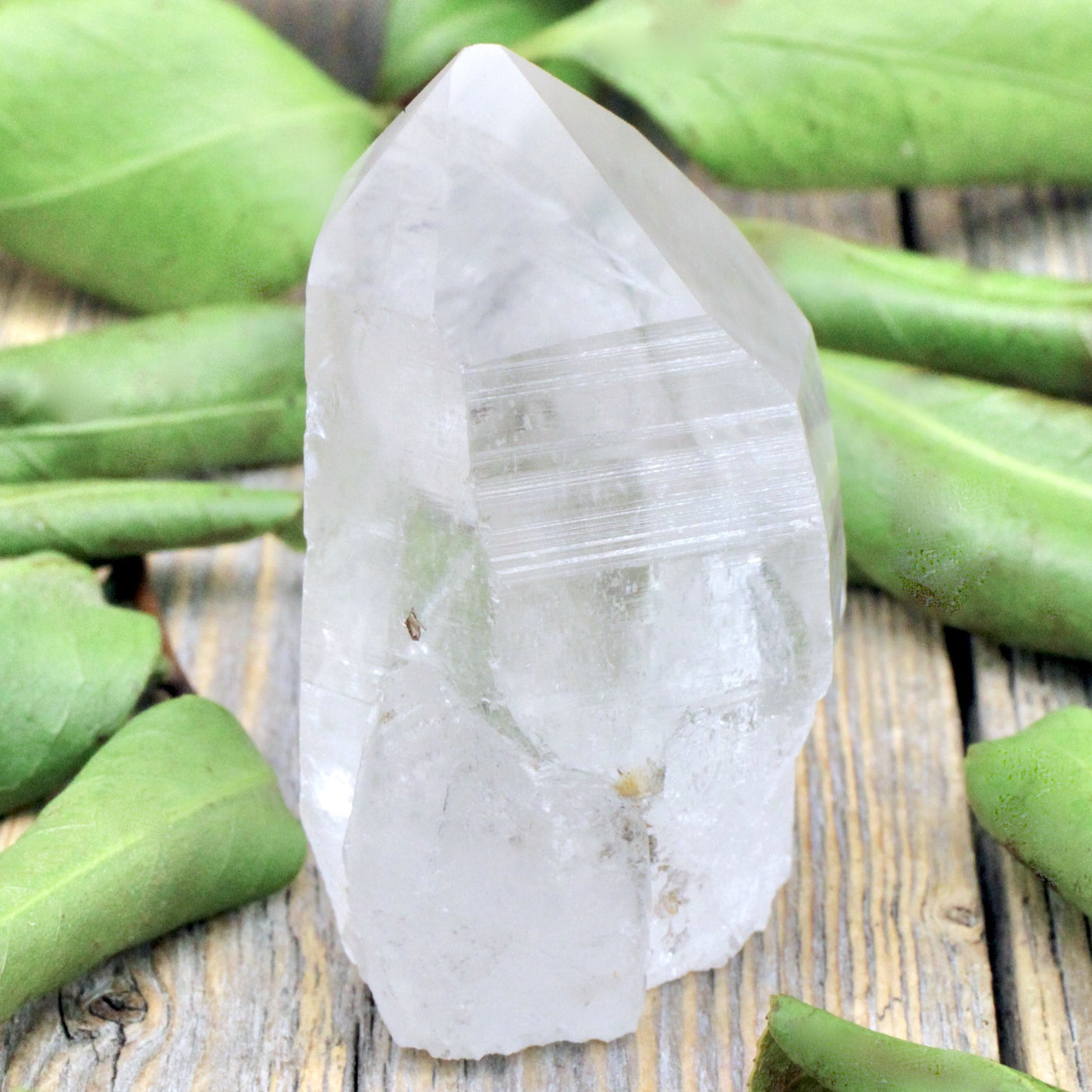 Lemurian Quartz Point