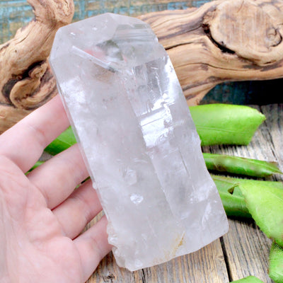 Lemurian Quartz Point