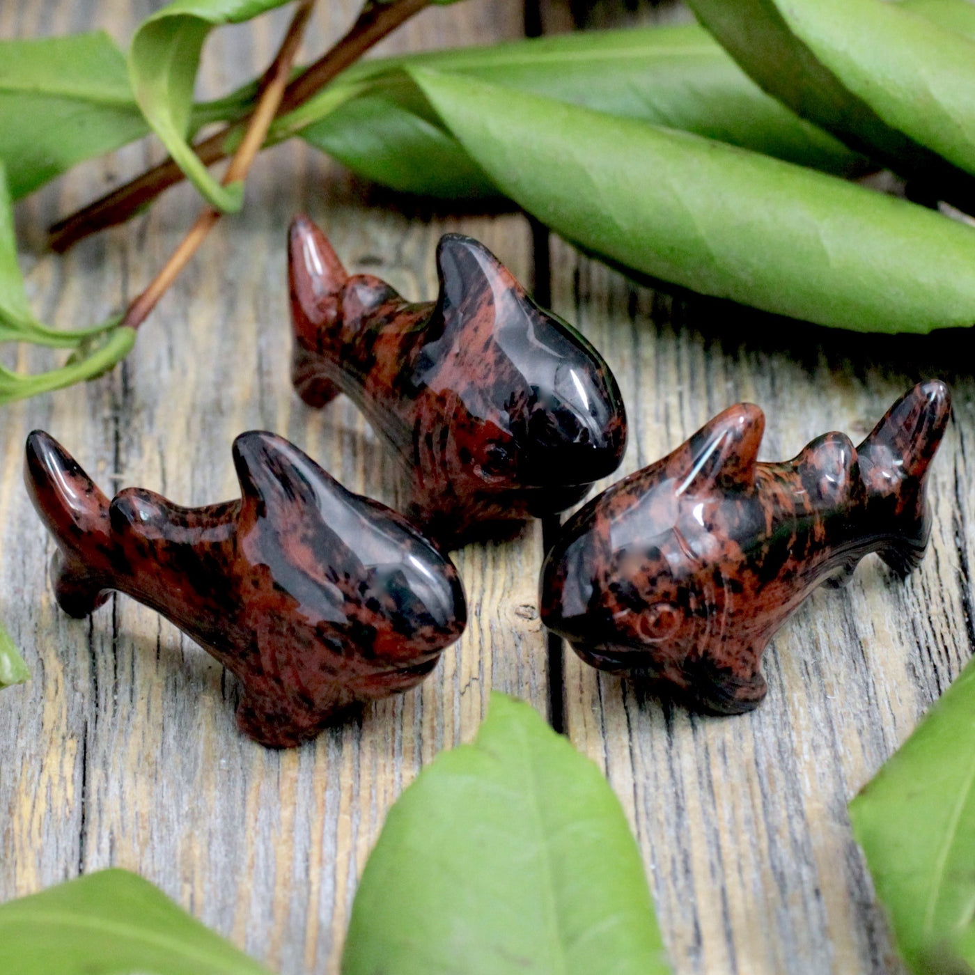 Mahogany Obsidian Shark