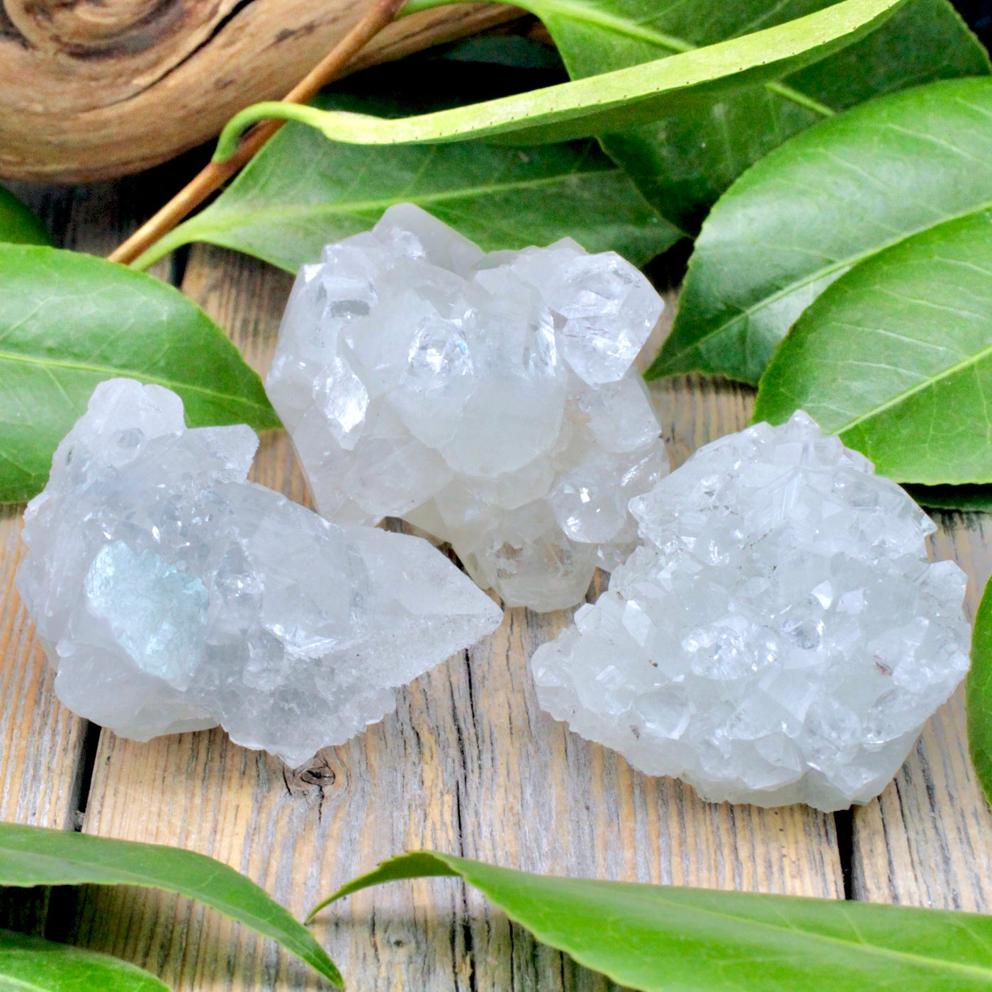 Apophyllite Cluster