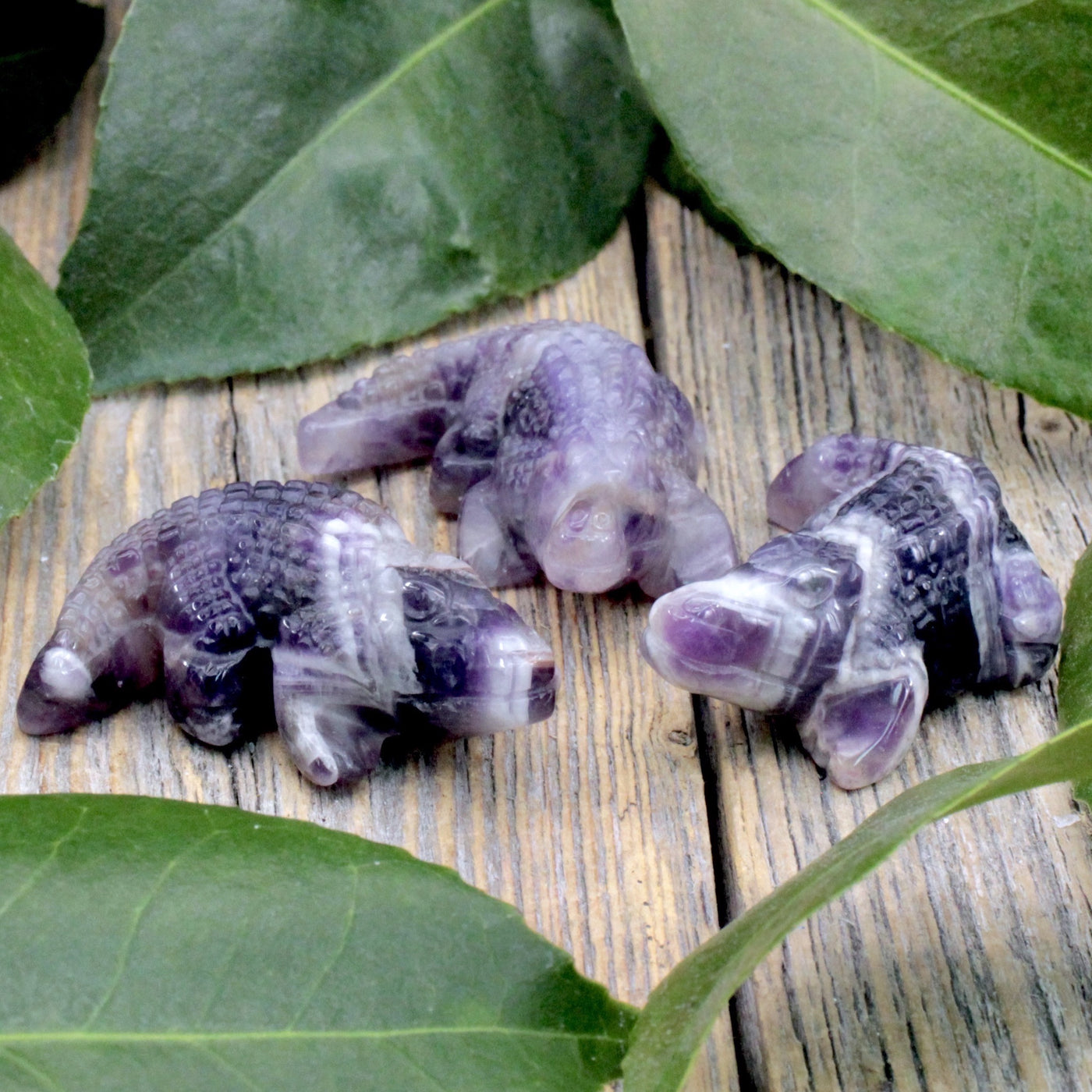 Chevron Amethyst Crocodile