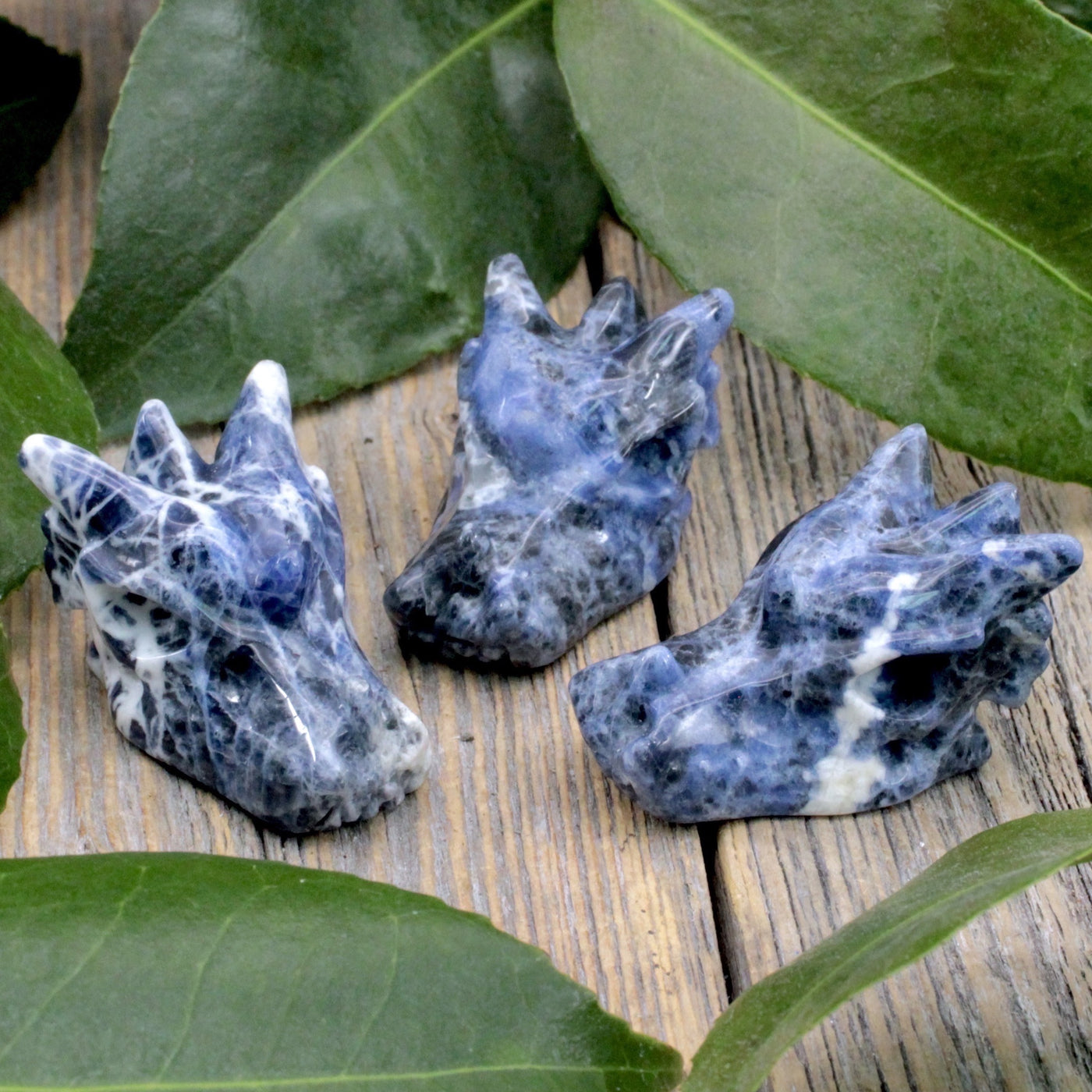 Sodalite Dragon Skull