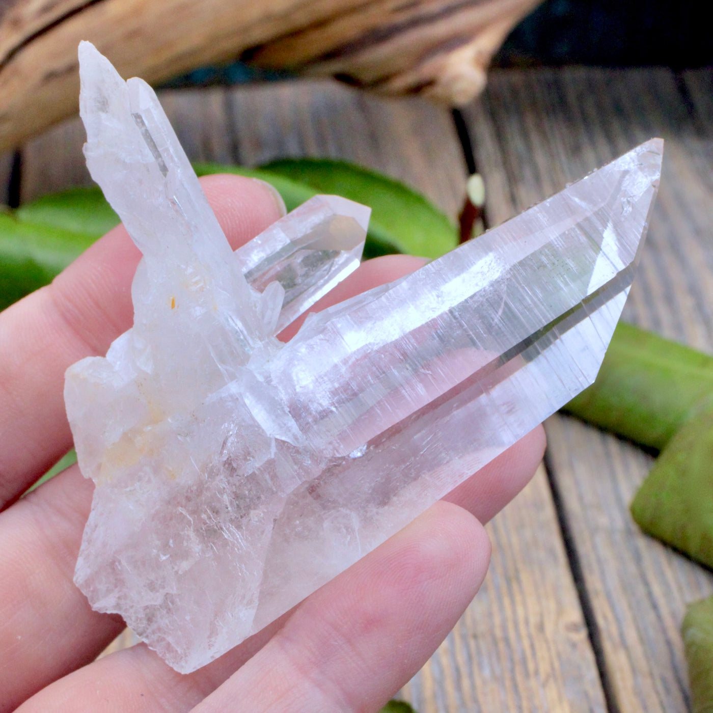 Lemurian Quartz Cluster