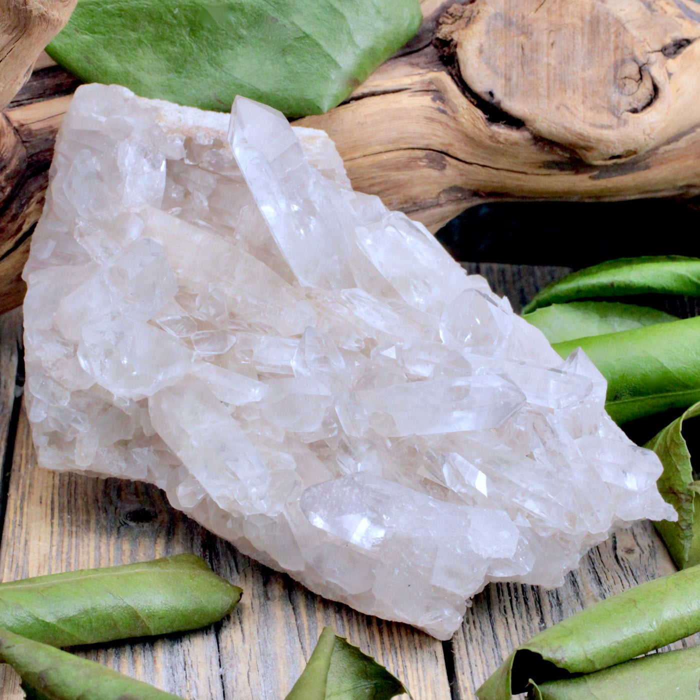 Lemurian Quartz Cluster