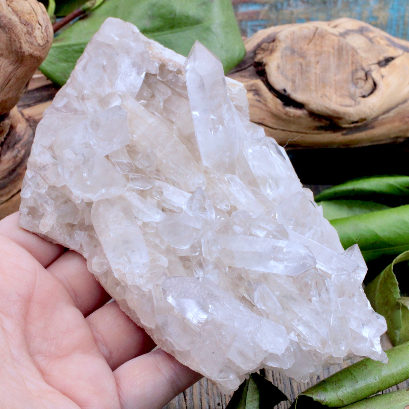 Lemurian Quartz Cluster