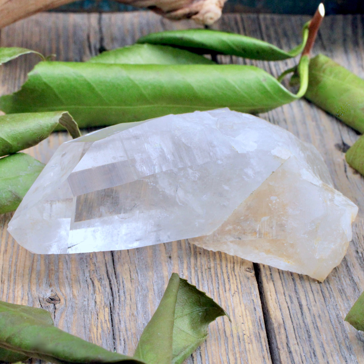 Lemurian Quartz Cluster