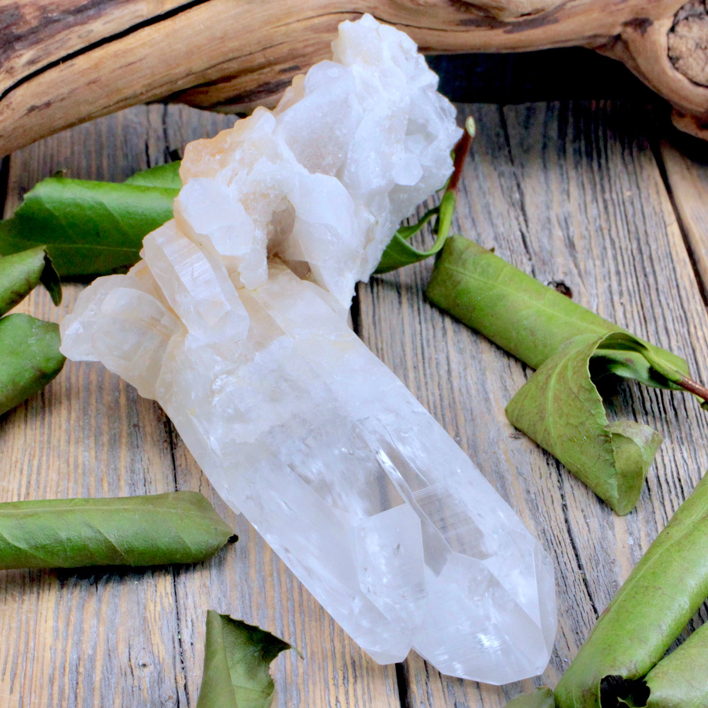 Lemurian Quartz Cluster