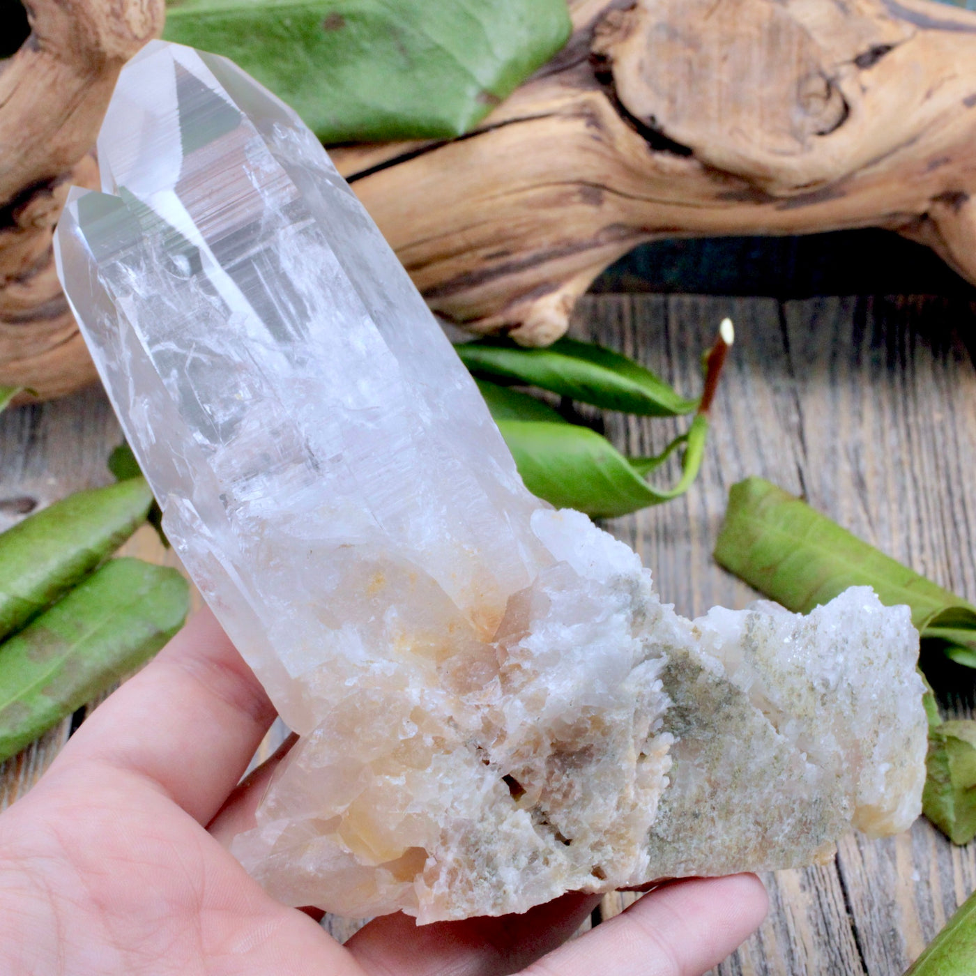 Lemurian Quartz Cluster