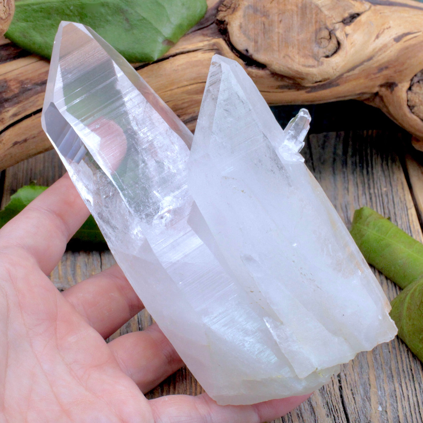 Lemurian Quartz Cluster