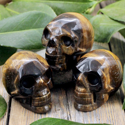 Skull Carving - Medium