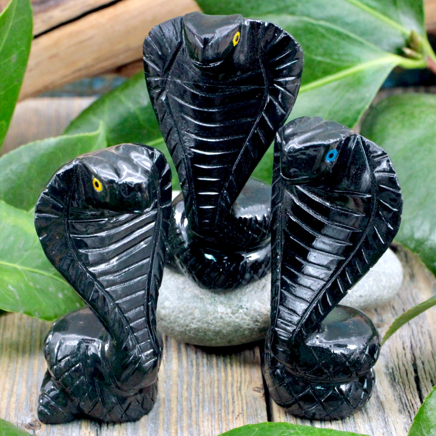 Black Onyx Cobra