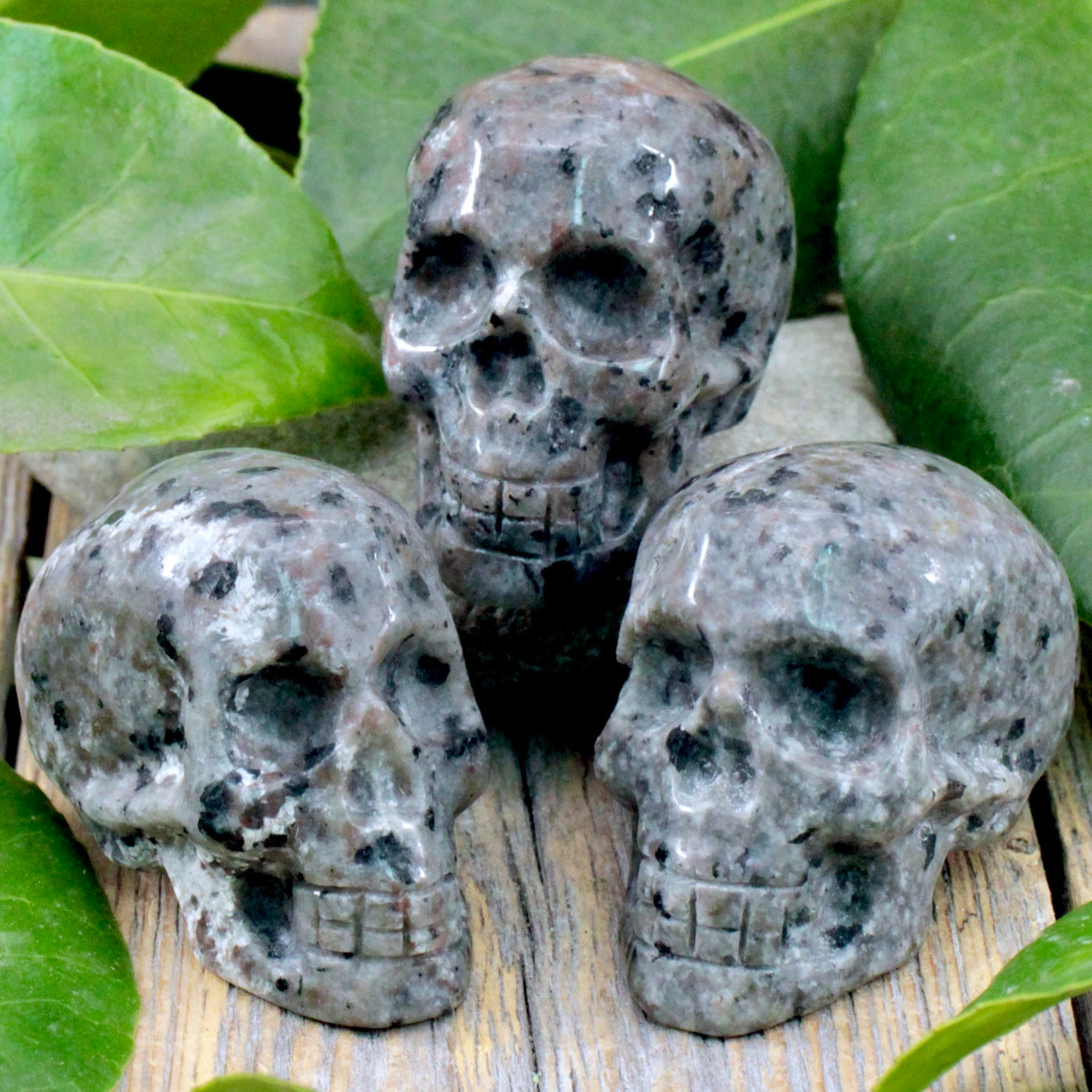 Firestone Skull