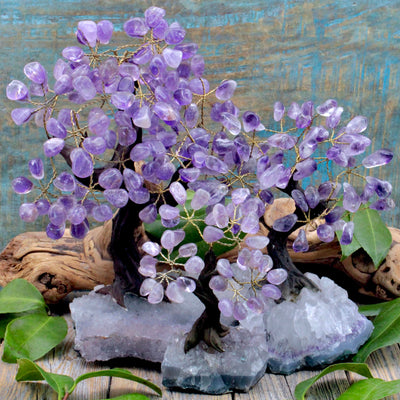 Amethyst Crystal Tree with Amethyst Cluster Base