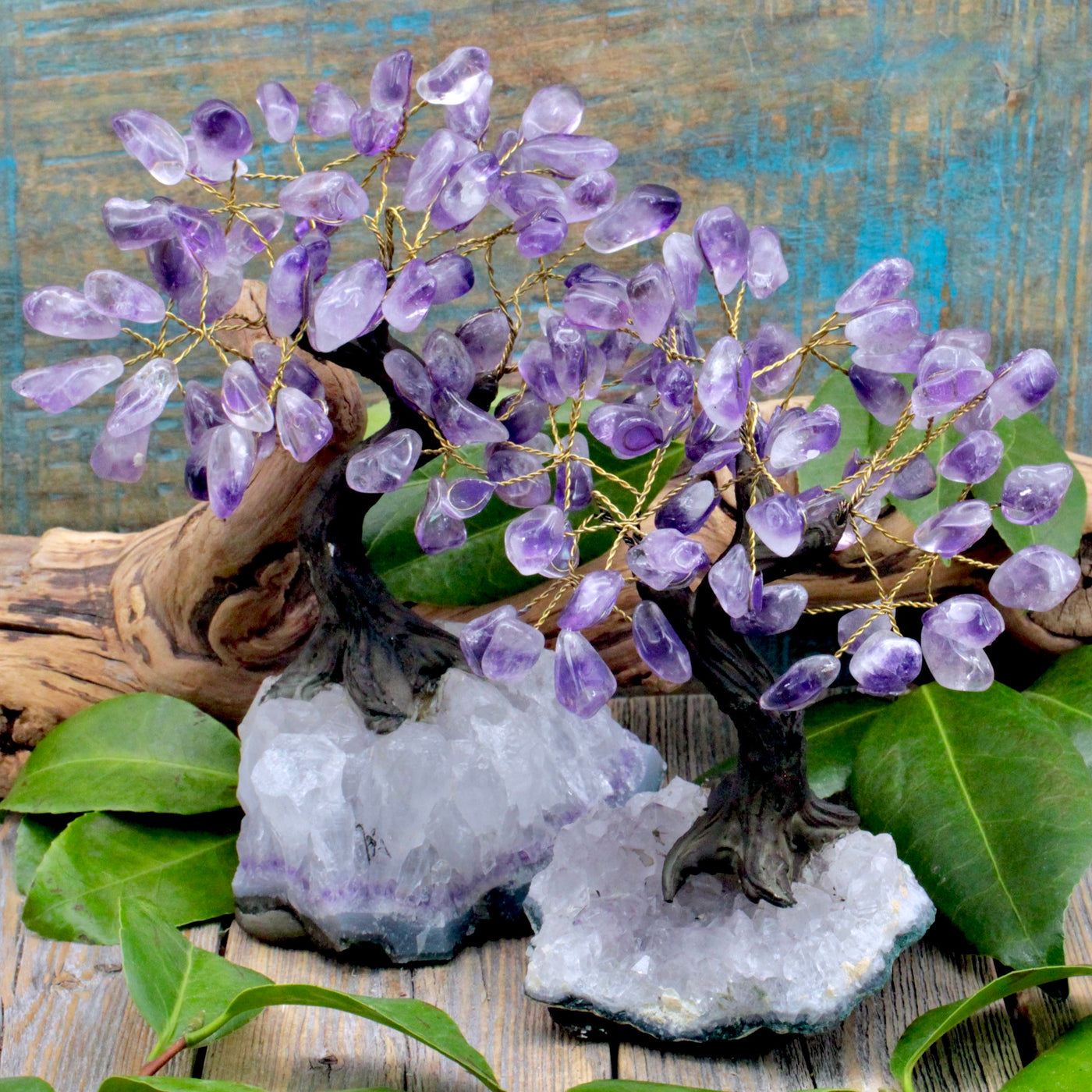 Amethyst Crystal Tree with Amethyst Cluster Base