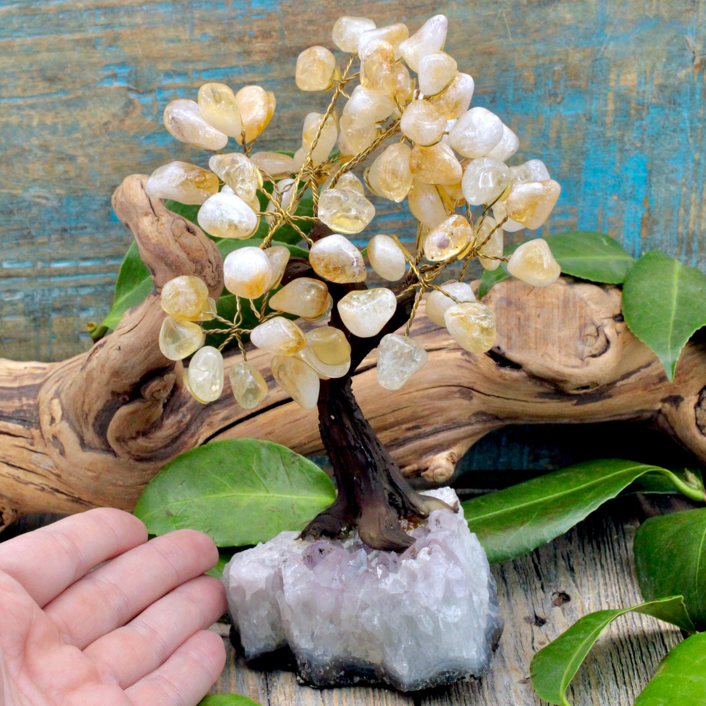 Citrine Crystal Tree with Amethyst Cluster Base