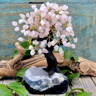 Rose Quartz Crystal Tree with Amethyst Cluster Base