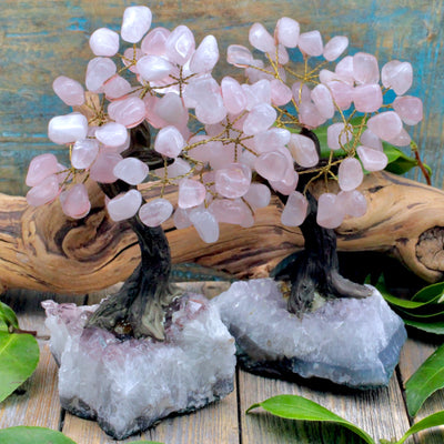 Rose Quartz Crystal Tree with Amethyst Cluster Base