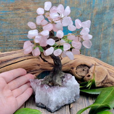 Rose Quartz Crystal Tree with Amethyst Cluster Base