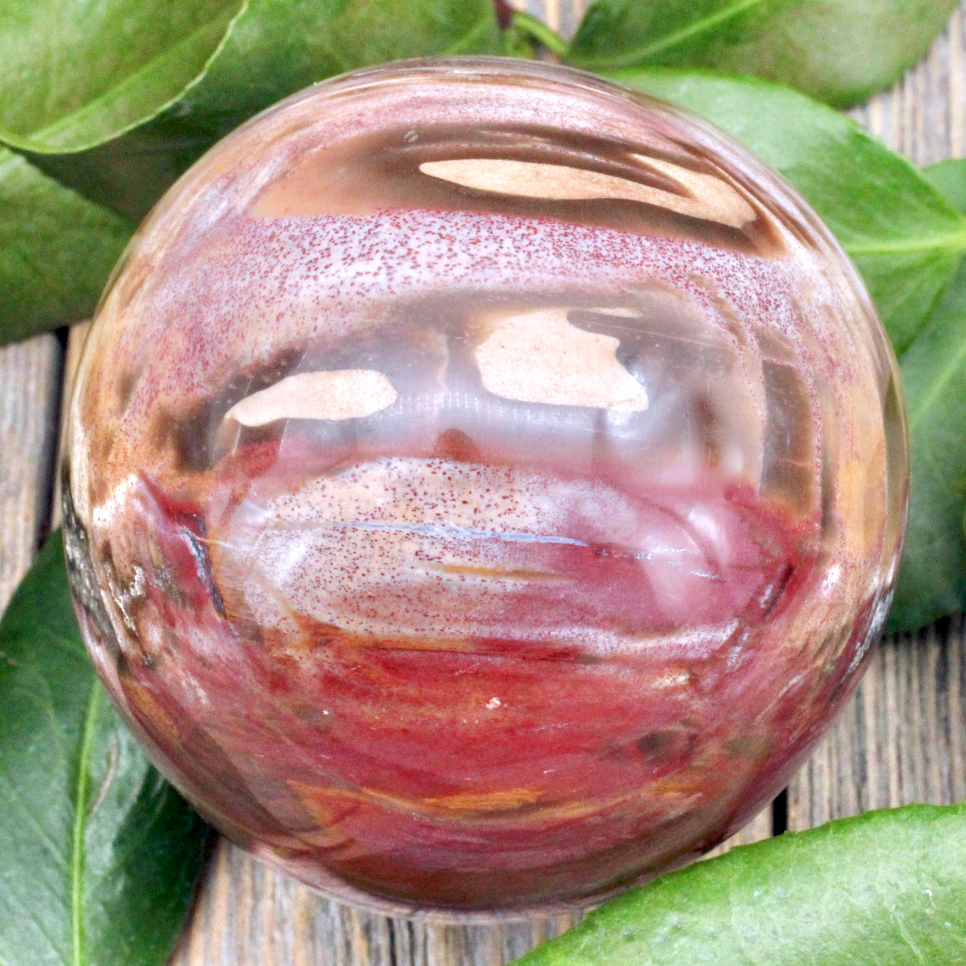 Petrified Wood Sphere