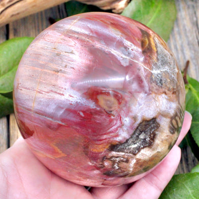 Petrified Wood Sphere