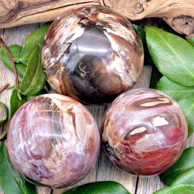 Petrified Wood Sphere