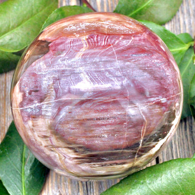 Petrified Wood Sphere