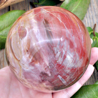 Petrified Wood Sphere