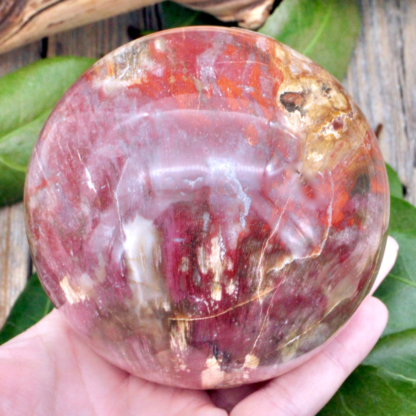 Petrified Wood Sphere