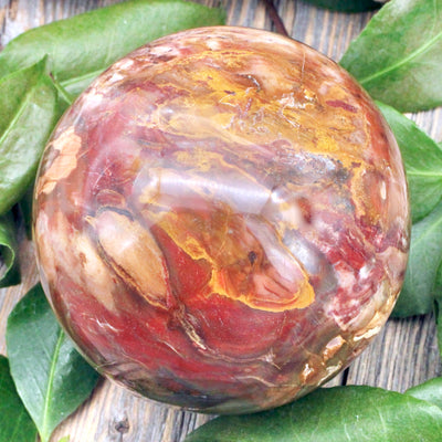 Petrified Wood Sphere