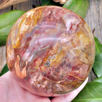 Petrified Wood Sphere