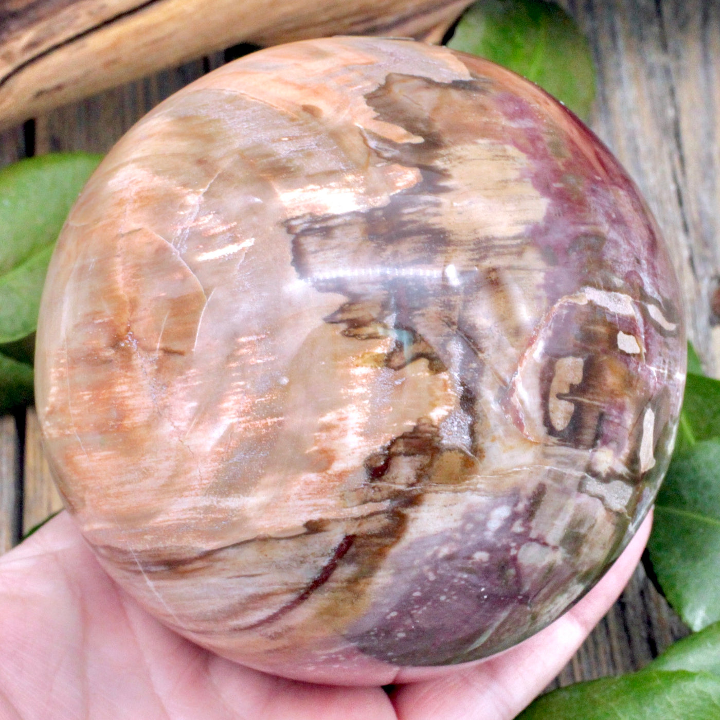 Petrified Wood Sphere